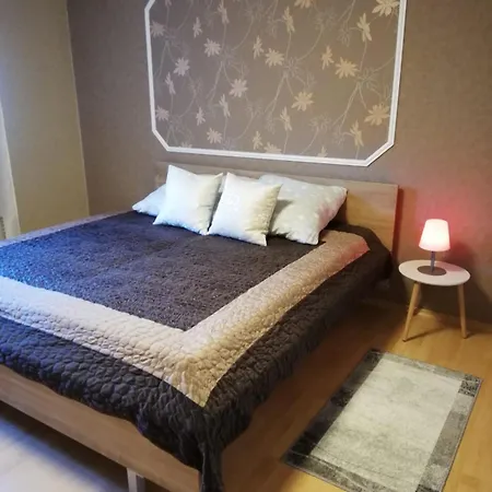 Marina לינץ אם ריין